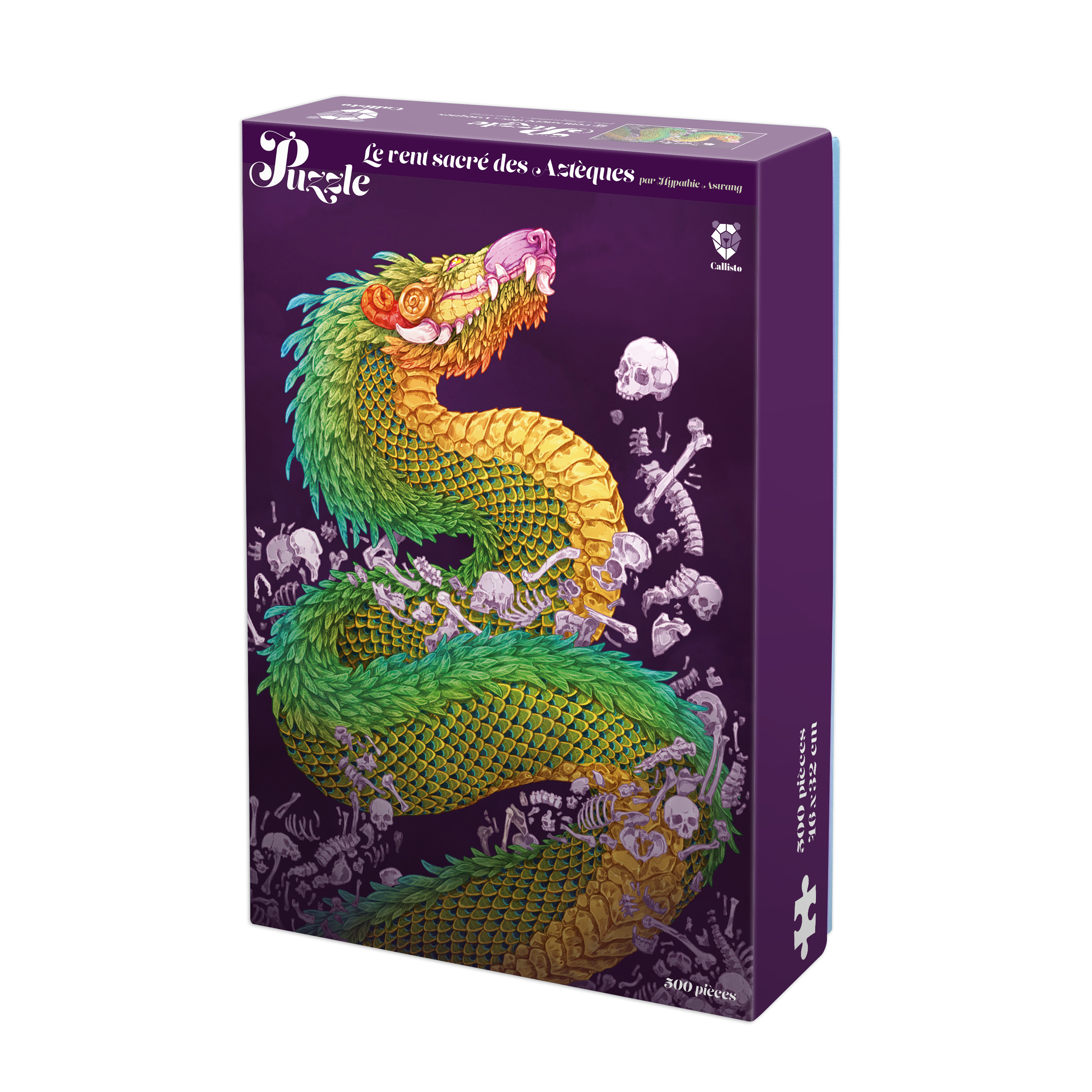 Pack DÉCOUVERTE